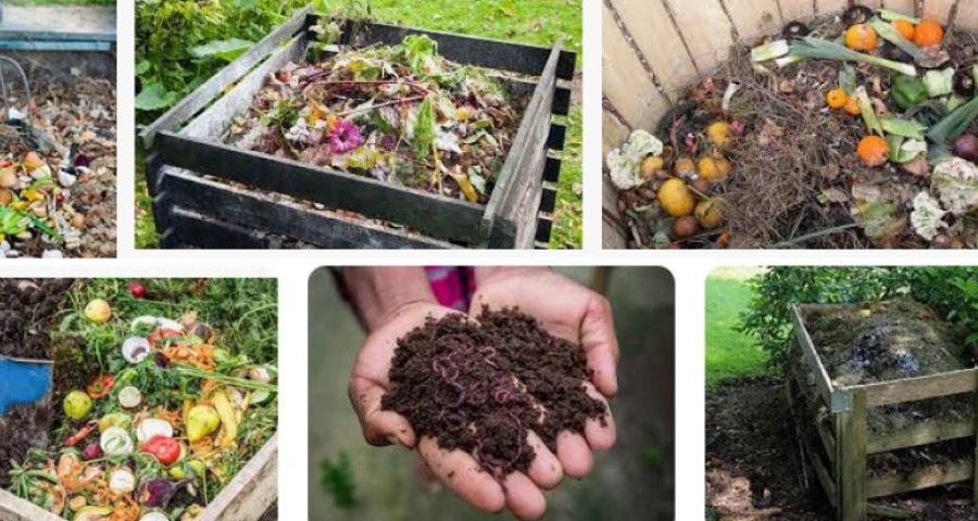 Compost e biochar agricolo, caratteristiche e differenze