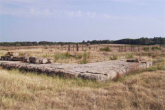 Area archeologica di Punta Alice
